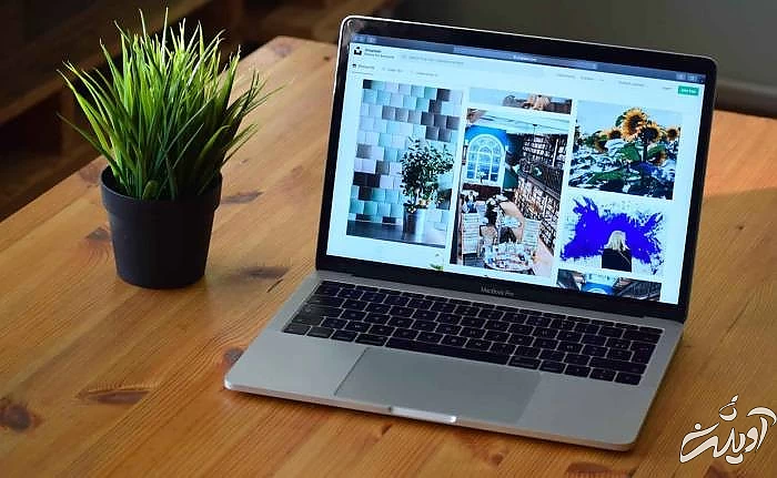 طراحی سایت دیجی تک